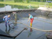 Reinigung-OXI-Teich-Wunderseben-2